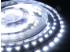 LED лента 335/120 бокового свечения негерметичная (IP33) premium